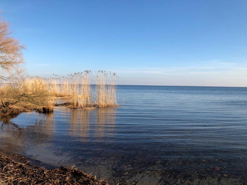 Ferienwohnung Seeblick - Insel Usedom Balm Dış mekan fotoğraf