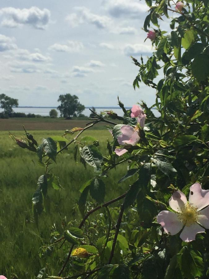 Ferienwohnung Seeblick - Insel Usedom Balm Dış mekan fotoğraf