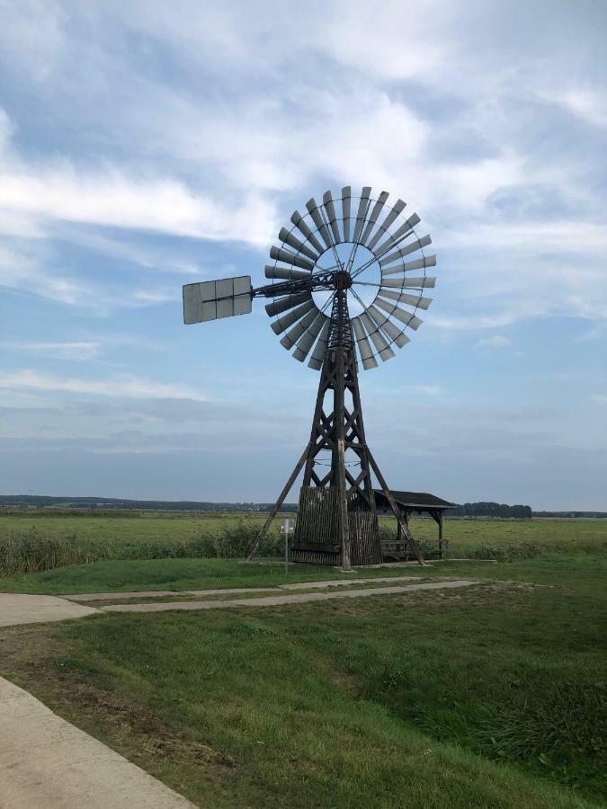 Ferienwohnung Seeblick - Insel Usedom Balm Dış mekan fotoğraf